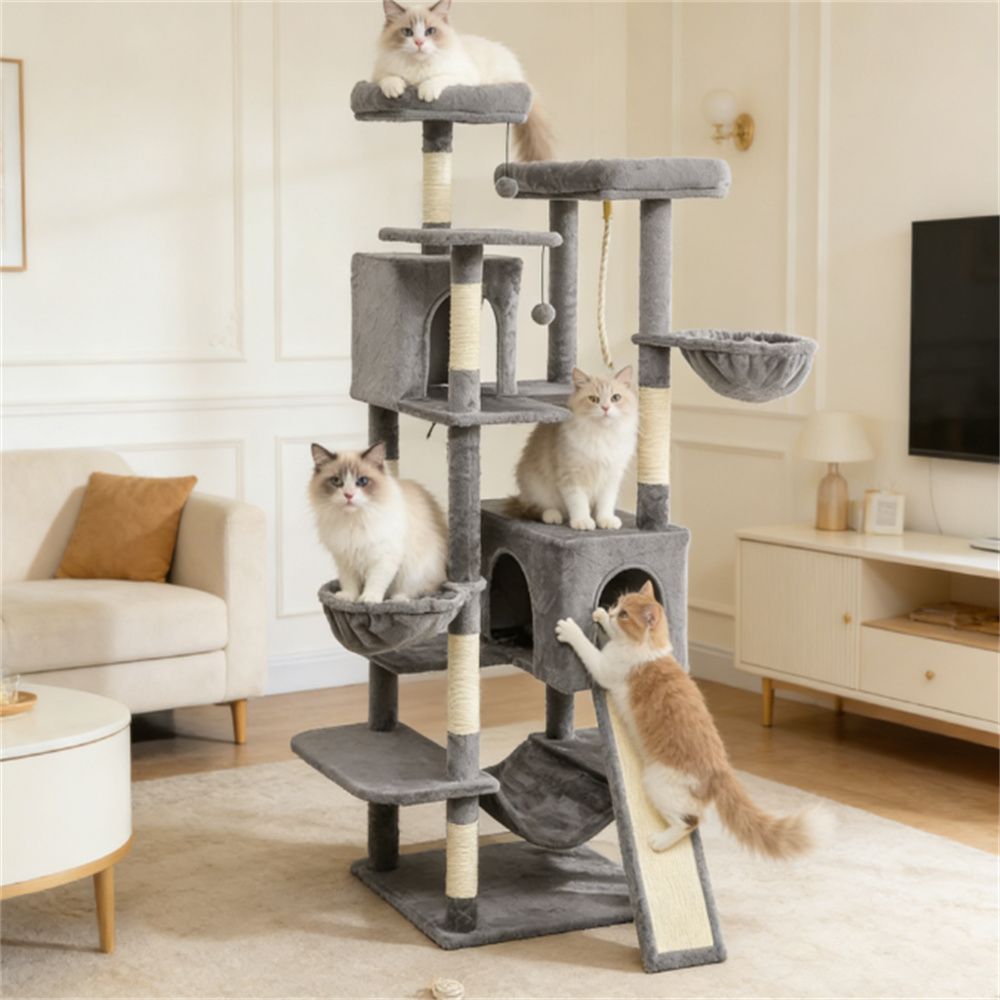 511976621